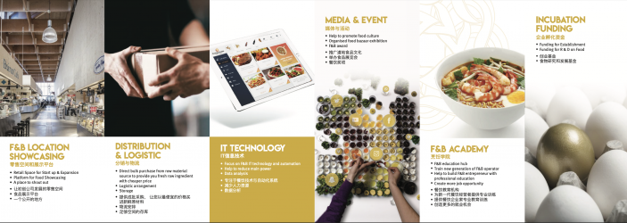 Brochures Design