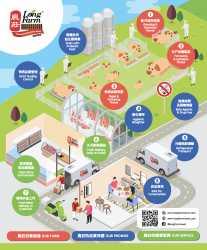 Production Infographic Educational Poster Design